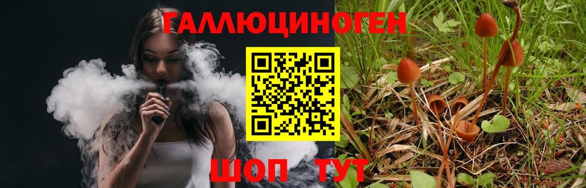 Галлюциногенные грибы мухоморы Асино