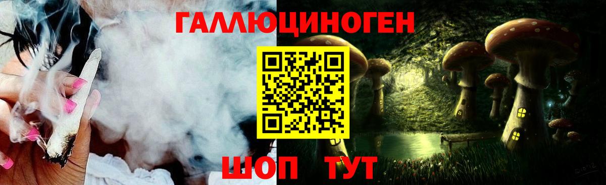 Асино  Галлюциногенные грибы GOLDEN TEACHER  где можно купить   Вход с VPN 